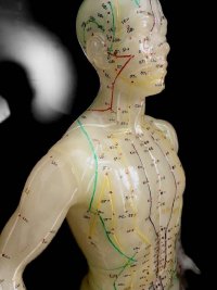 Acupunctuur Model